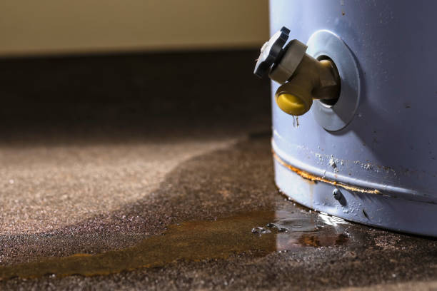 Best Local water damage restoration  in Sunset, FL
