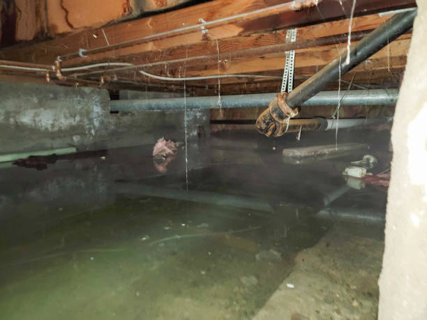 Sewage cleanup and water damage restoration in Sunset, FL