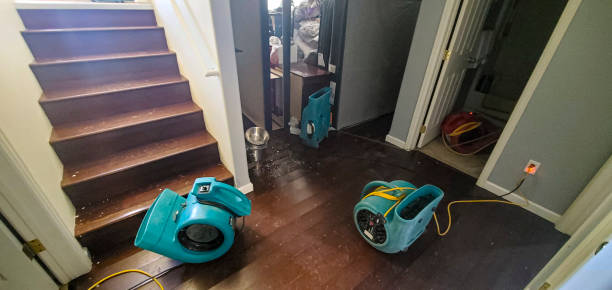 Best Water damage contractors near me  in Sunset, FL