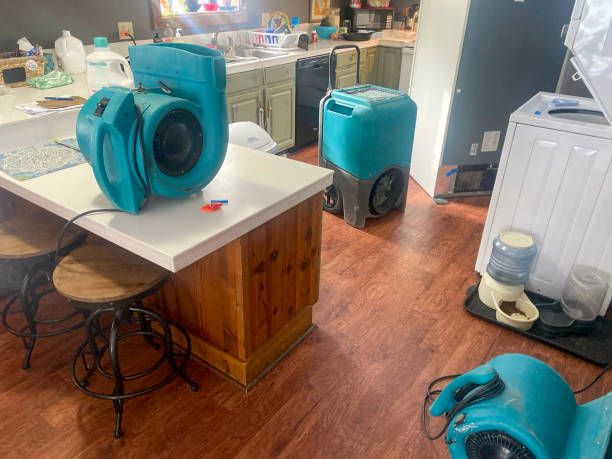 Best Water damage restoration experts  in Sunset, FL