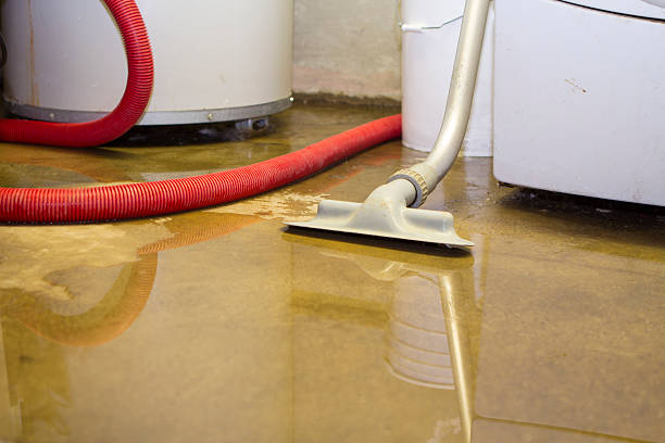 Best 24-hour water damage restoration  in Sunset, FL