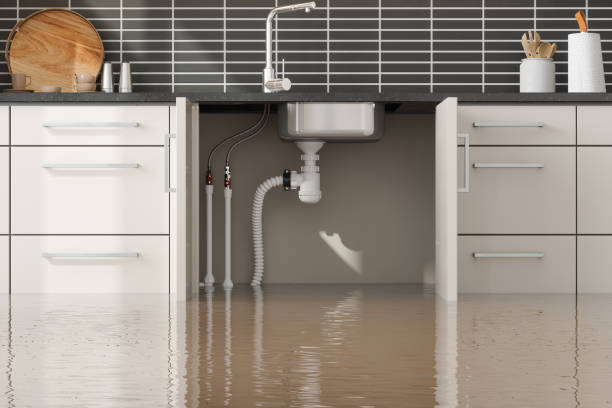  Sunset, FL Water damage restoration Pros