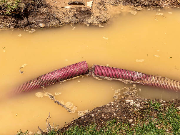 Best Water damage restoration near me  in Sunset, FL