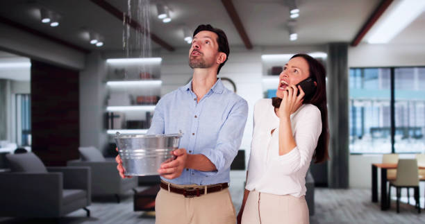 Best Water damage restoration near me  in Sunset, FL