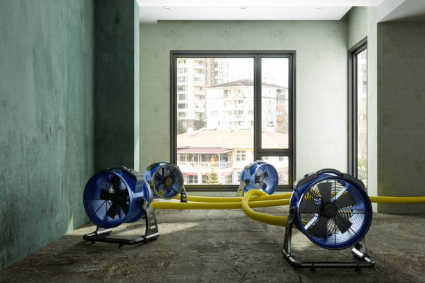 Water damage restoration experts in Sunset, FL